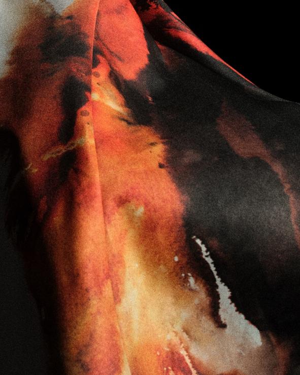 消亡之年 消亡之年