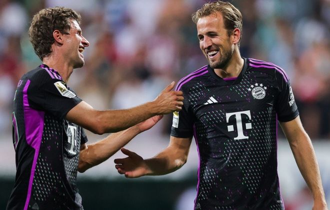 蓝鸟在二好 蓝鸟在二好